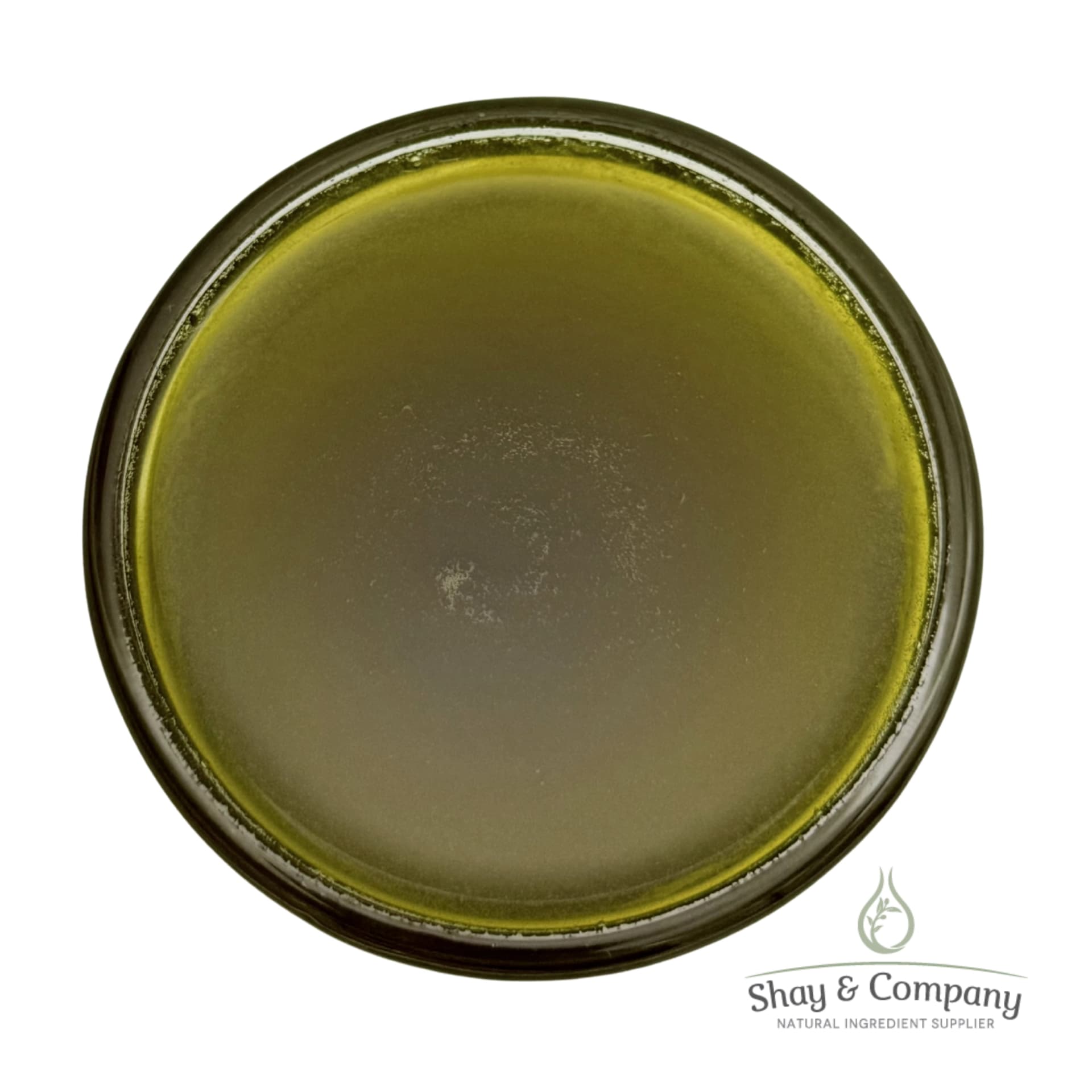 Glass jar of golden-yellow oil viewed from above, labeled Shay & Company natural ingredient supplier.