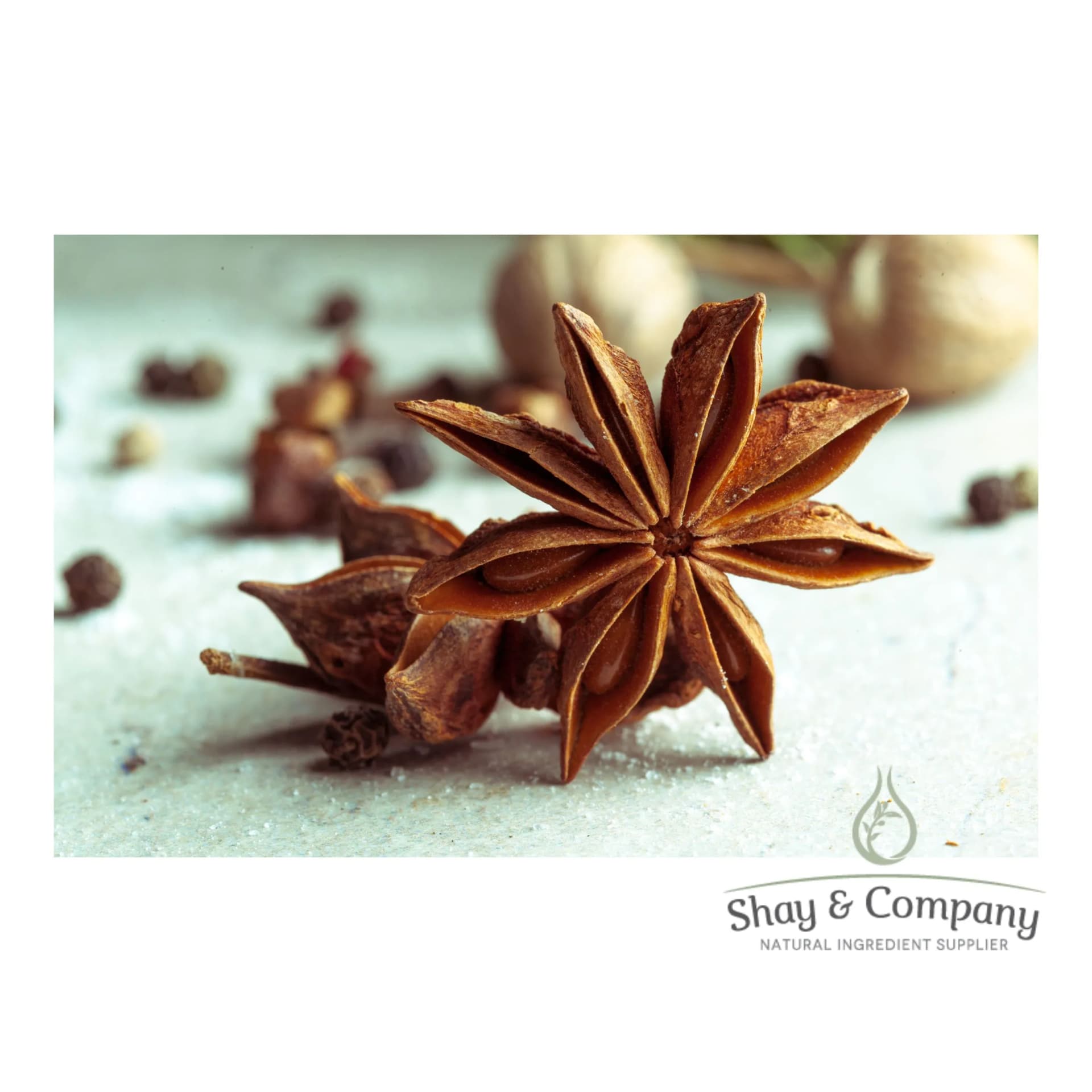 Close up of a star anise seed pod, with seeds scattered around on a white background.