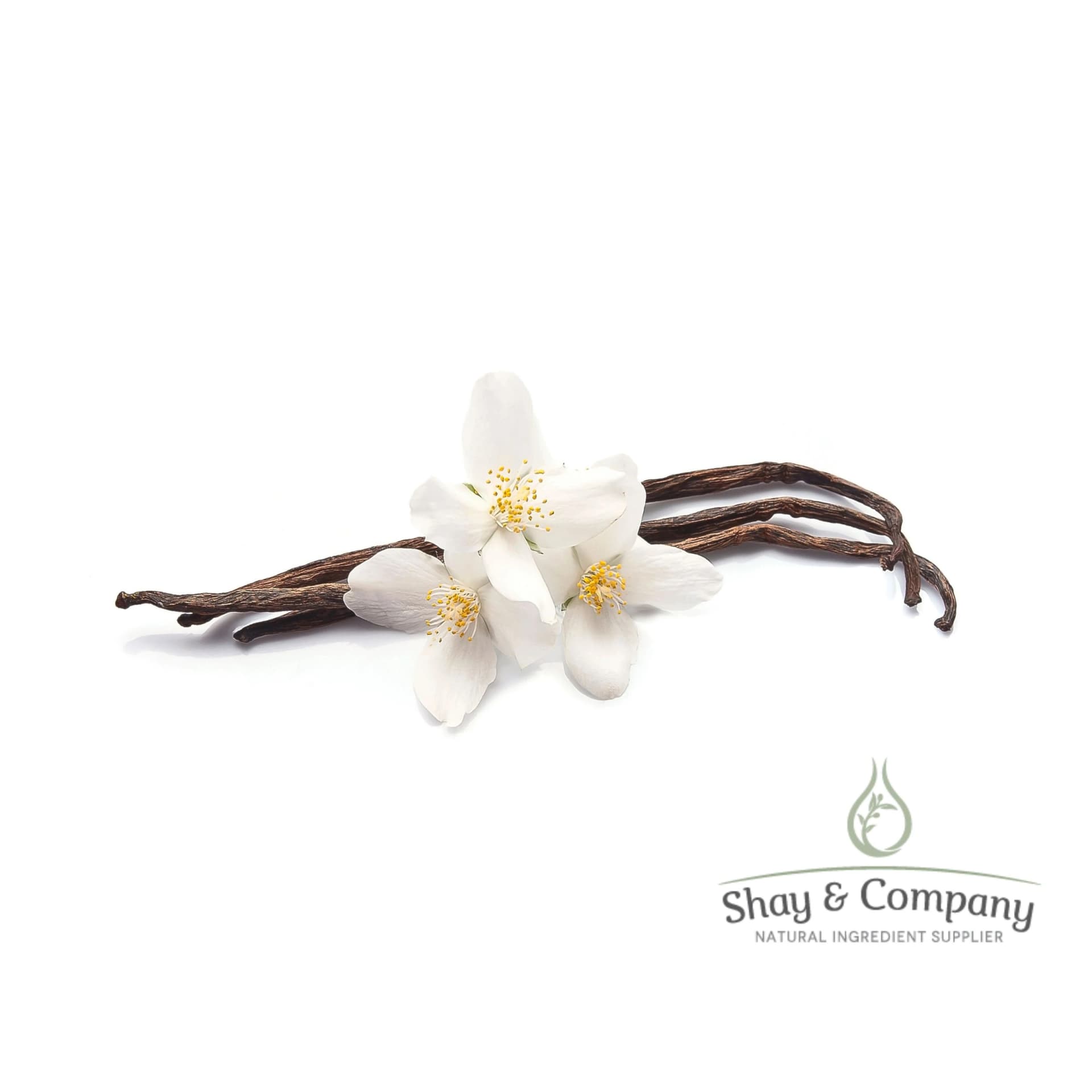 Three brown vanilla beans and three vanilla orchid flowers on white background.