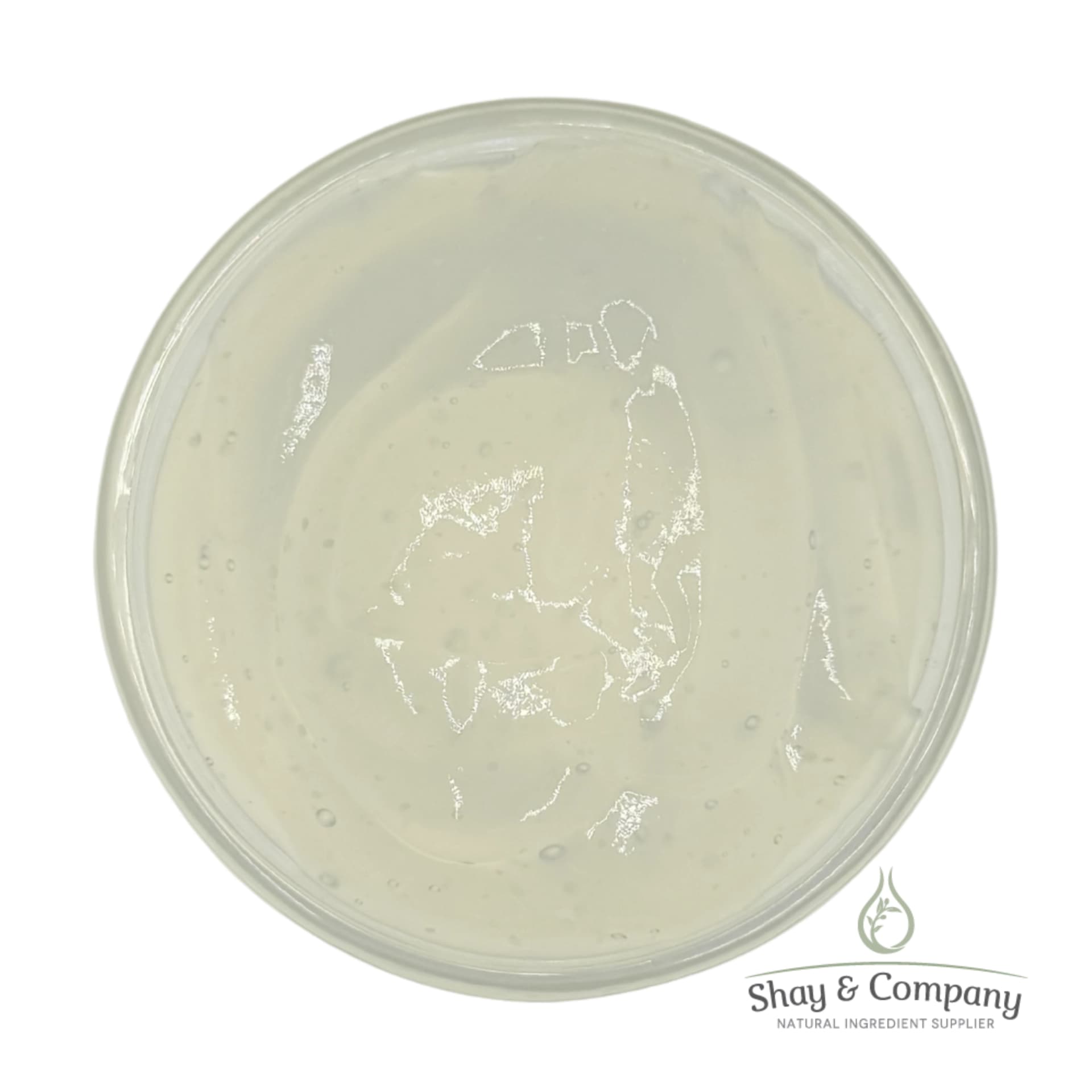 Aloe Gel
