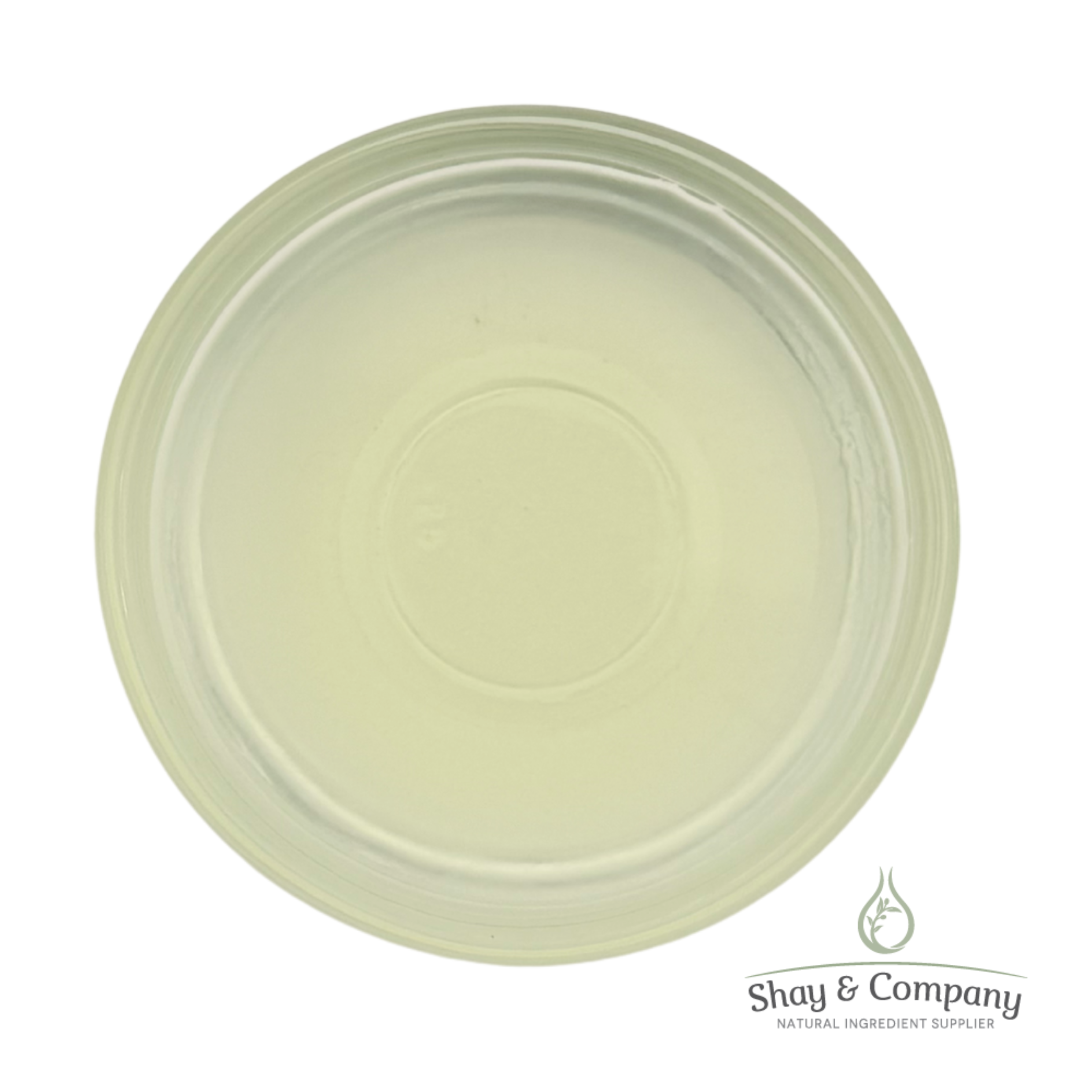Pale green round container lid from Shay & Company natural ingredient supplier, viewed from above.
