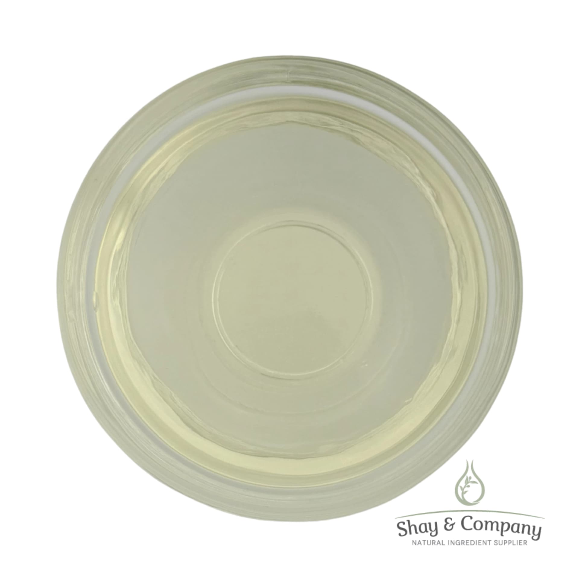 BiEau Actif Tri-Mushroom Extract