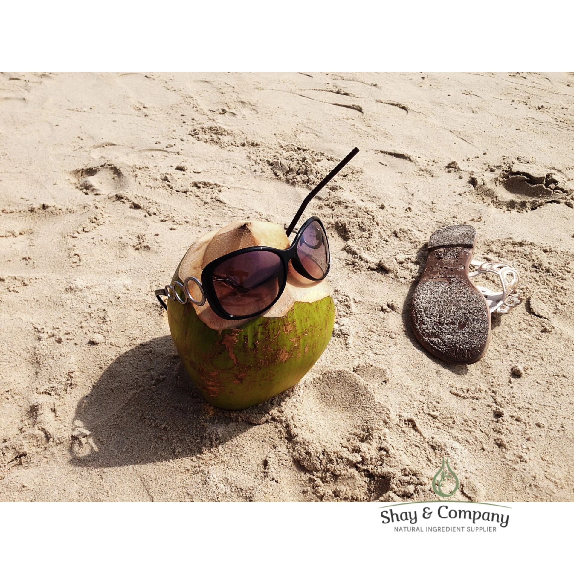 caribbean coconut fragrance