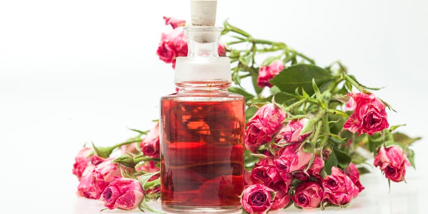 rose fragrance
