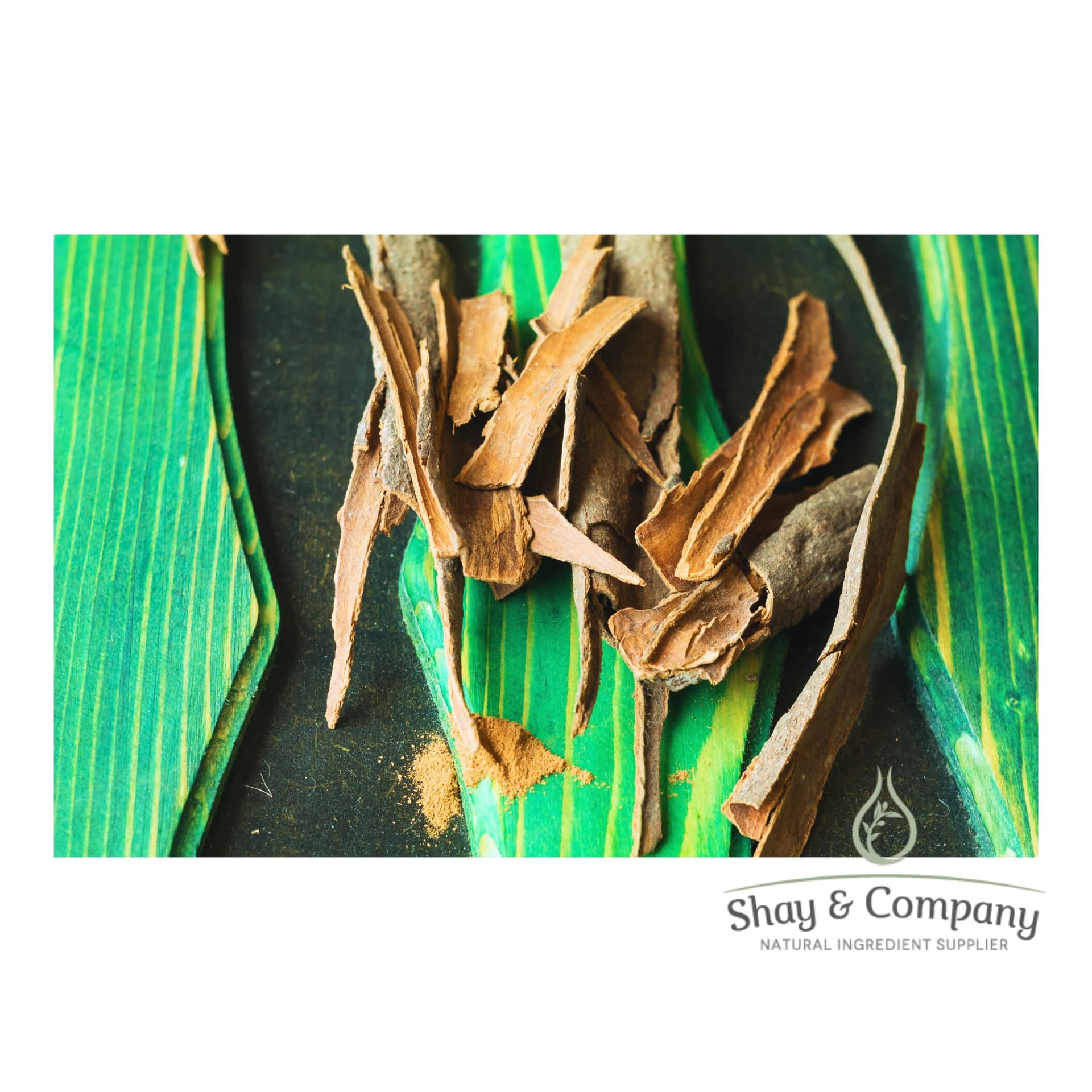 Cassia bark pieces on green leaf background