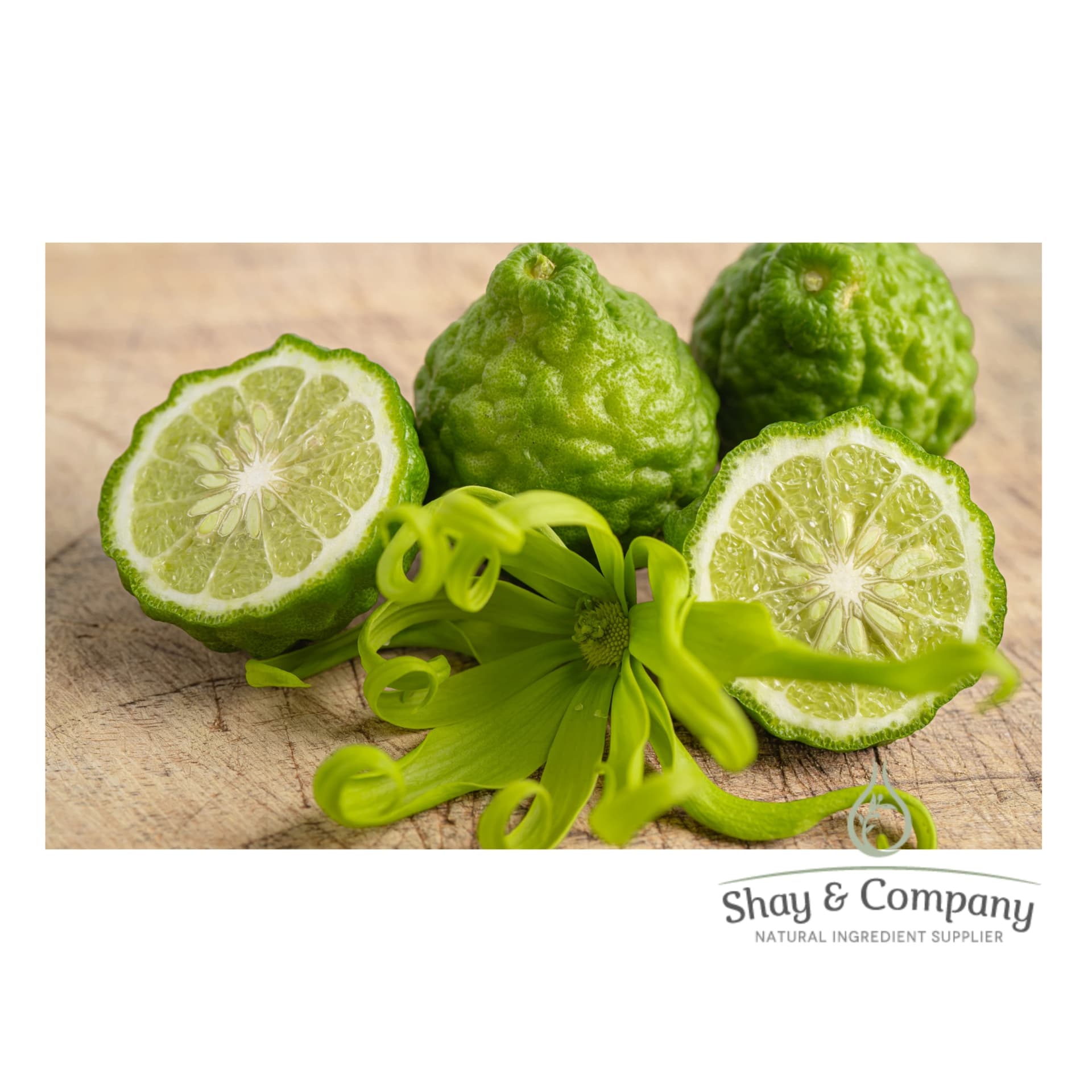 Two whole and one cut in half citrus looking green bergamot fruit with a green flower in the foreground