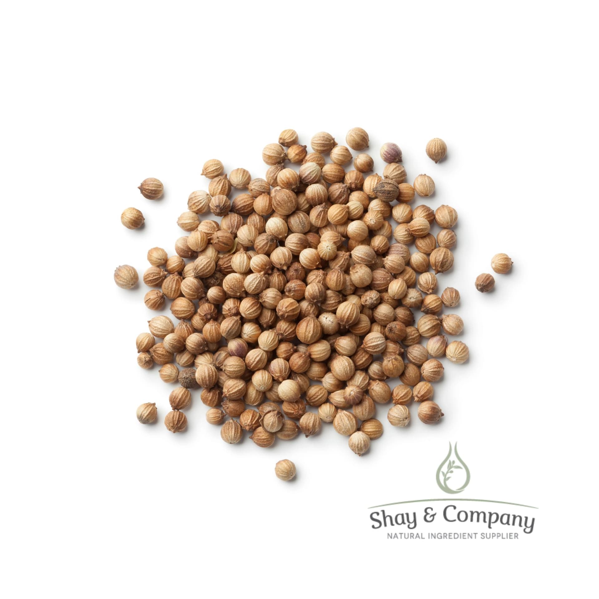 coriander seed essential oil
