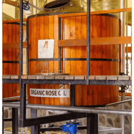 Wooden barrels labeled "Organic Rose C L" stacked in industrial storage facility with metal shelving.